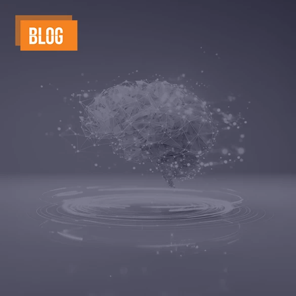 Advertorial Fm Showcase